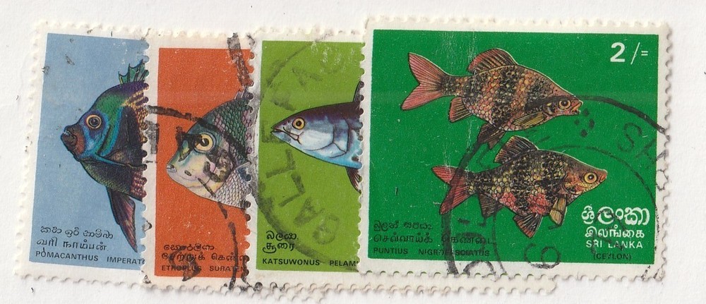 Ceylon         473 - 476        used