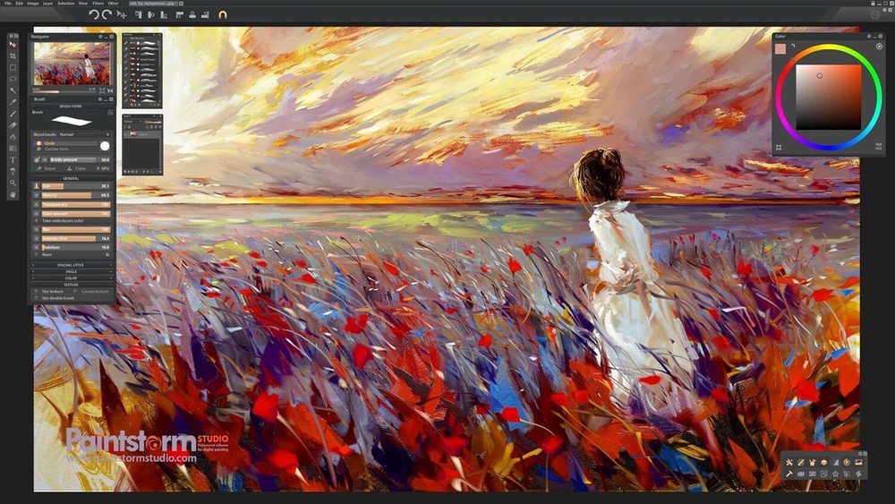 Paintstorm Studio - Digital Painting Software, New Retail Box