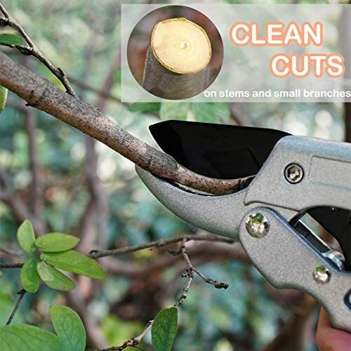 Professional SK-5 Steel Pruning Shears Anvil Hand Pruners, Garden Clippers