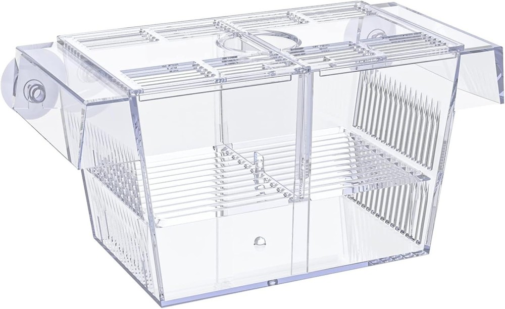 Space-Saving Acrylic Fish Breeding Box with Removable Separators & Suction Cups
