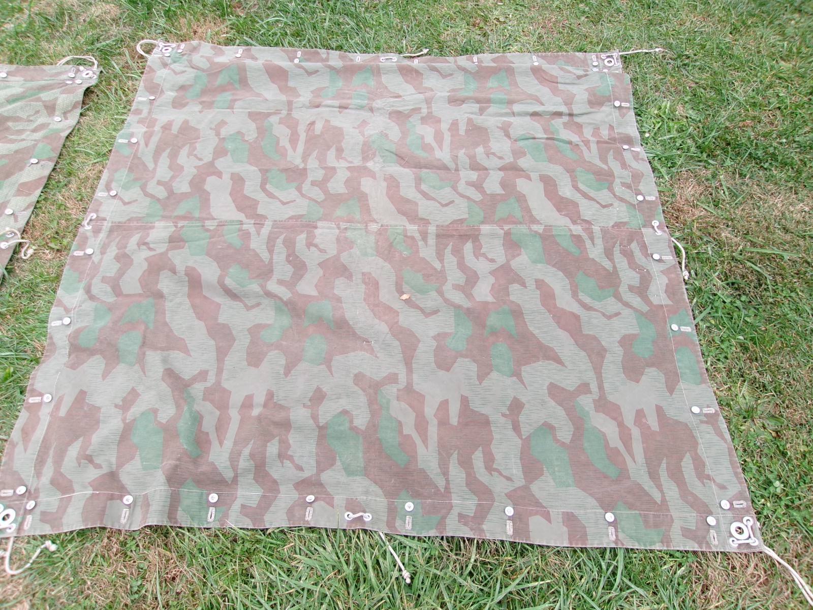 WW2 Swiss M31 Splittertarnmuster Tent - 2 Halves, Poles and Stakes