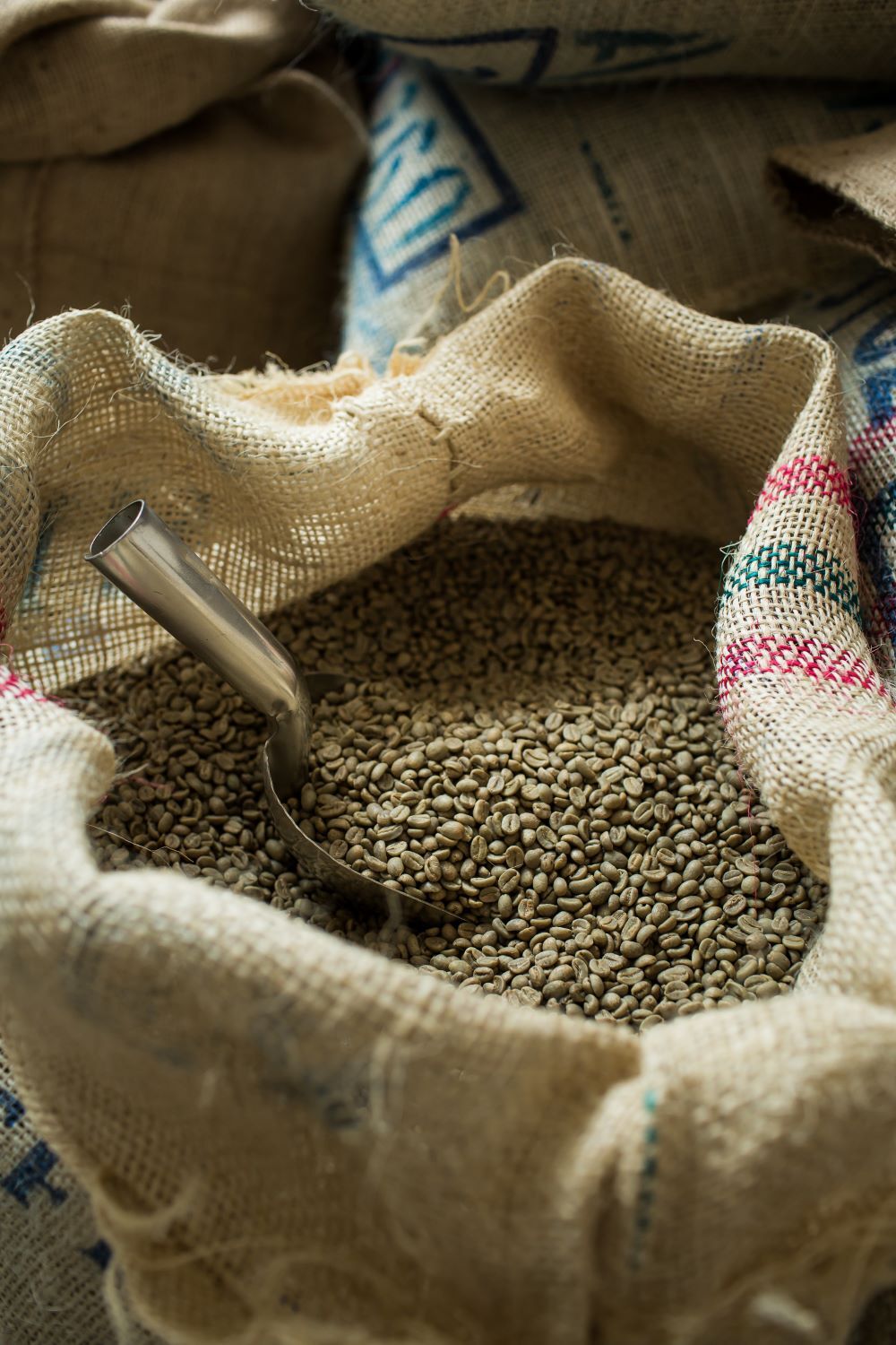 5 POUNDS green coffee beans – your choice of beans – MANY to choose from