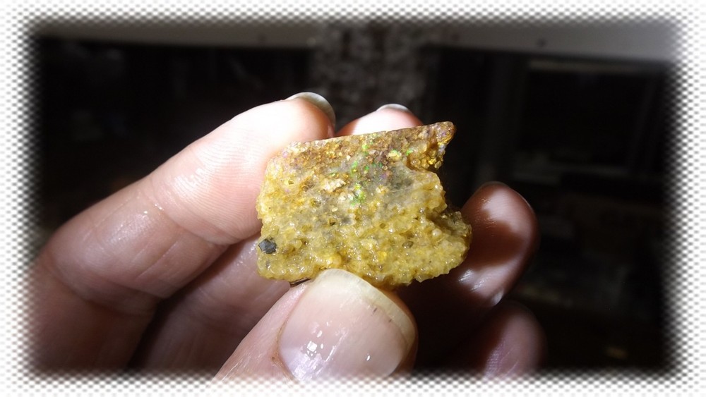 64cts Louisiana Opal Rough Specimen