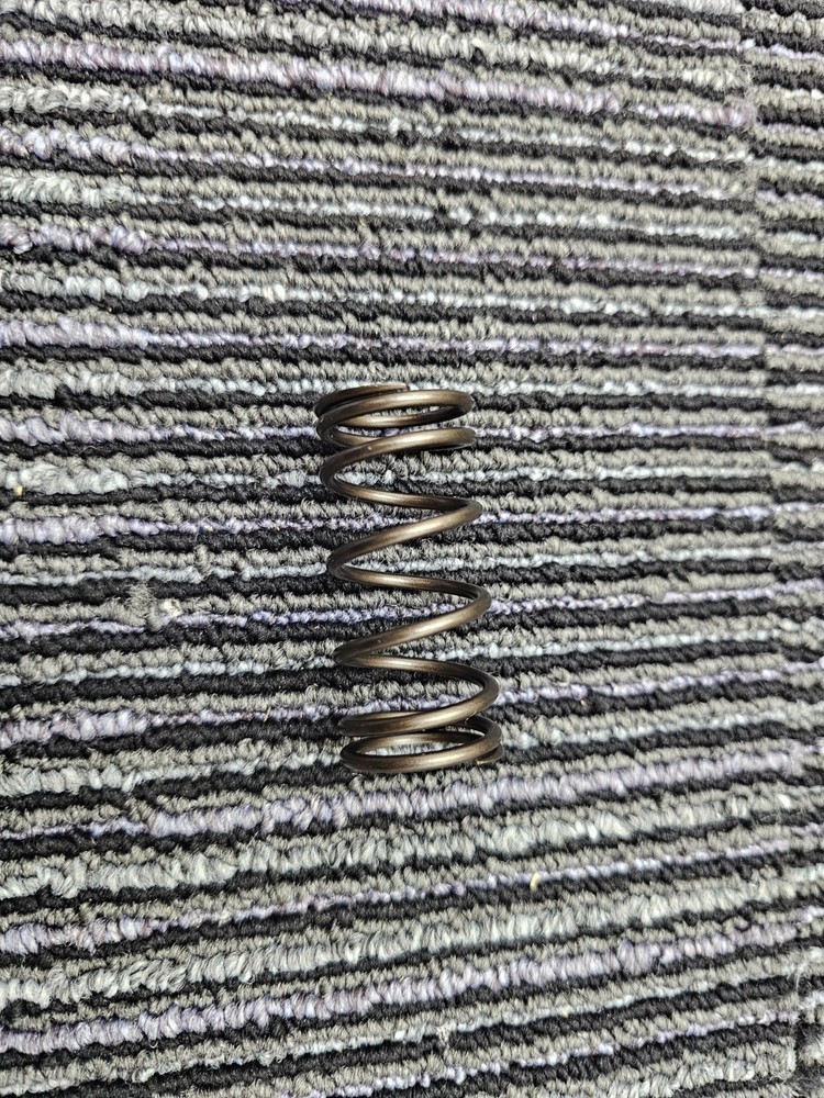 (QTY 4) Jacobs 049634 Engine Valve Spring