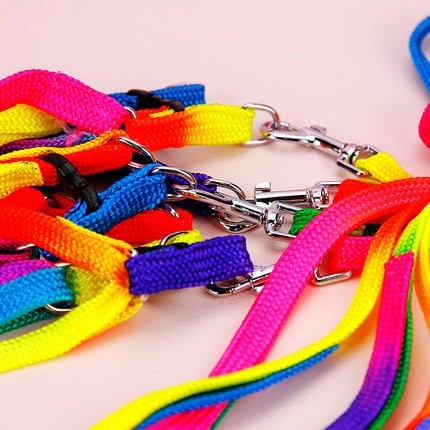 Hypeety Pet Bird Harness and Leash with Buckle Adorable Rainbow Design Safe P...
