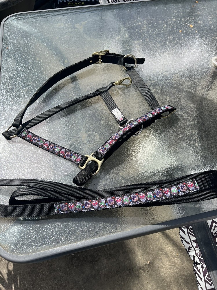 🐴💀Horse Halter Nylon And Matching Lead Unique