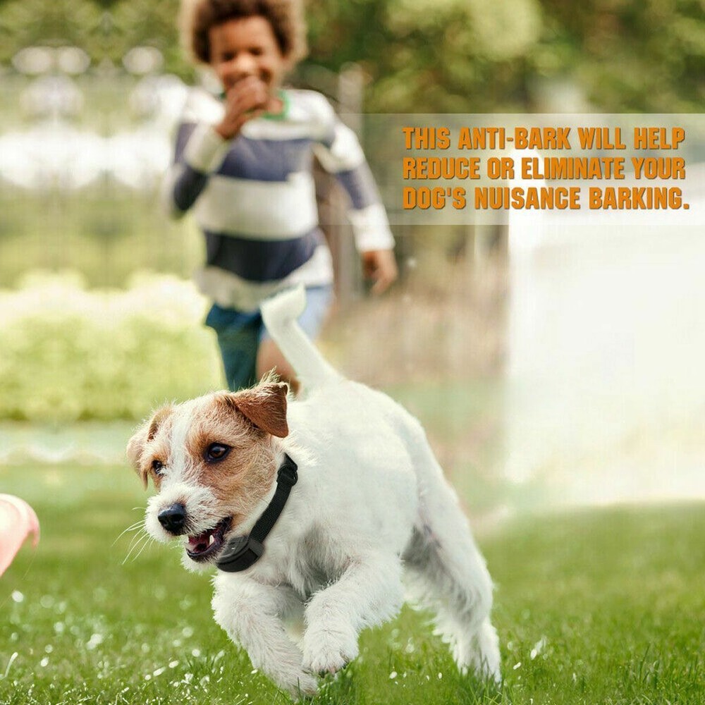 Automatic Anti Bark Barking Shock Control Collar For Small Medium Large Dog 2023