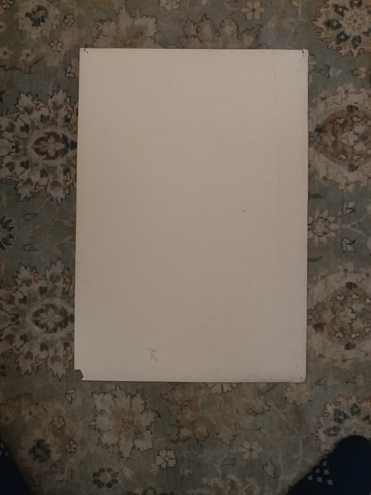 FD022 FAMILY DOG Poster GRATEFUL DEAD Sopwith Camel AVALON Mouse