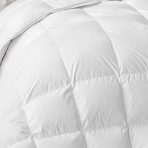 Soft Size Comforter Duvet Insert-Down Alternative Comforter Queen White