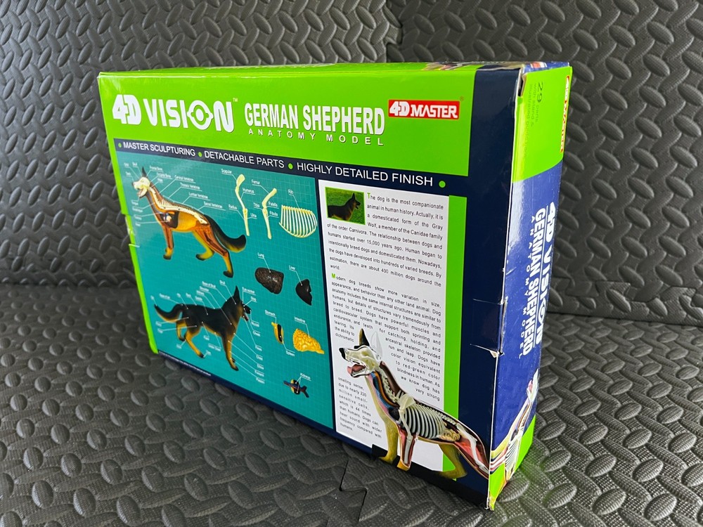 4D Master 4D Vision German Shepherd Anatomical Model Educational Toy