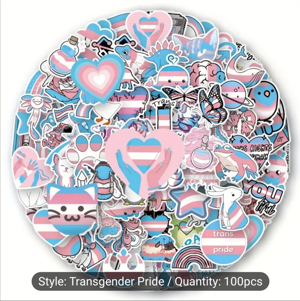 10 PCS Trans Queer Pride Stickers BRAND NEW