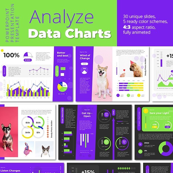 Analyze Data Charts PowerPoint Presentation Template 4:3