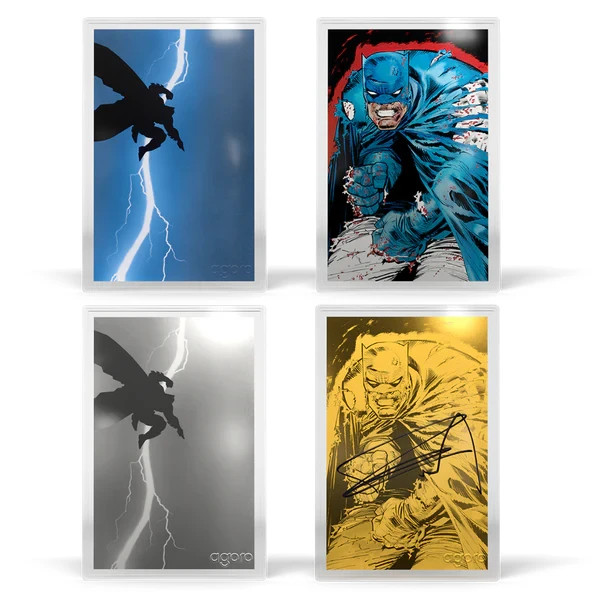 Batman: The Dark Knight Returns™ Blind Box (Single)