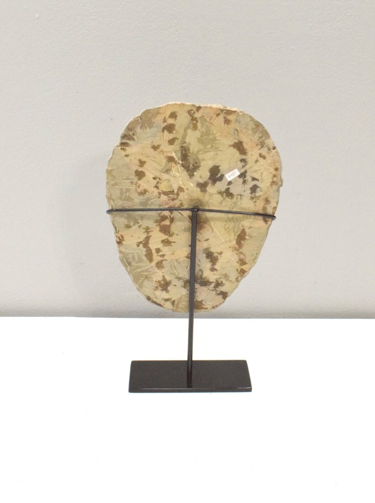 Faux Trilobite Mold Ceramic Cast