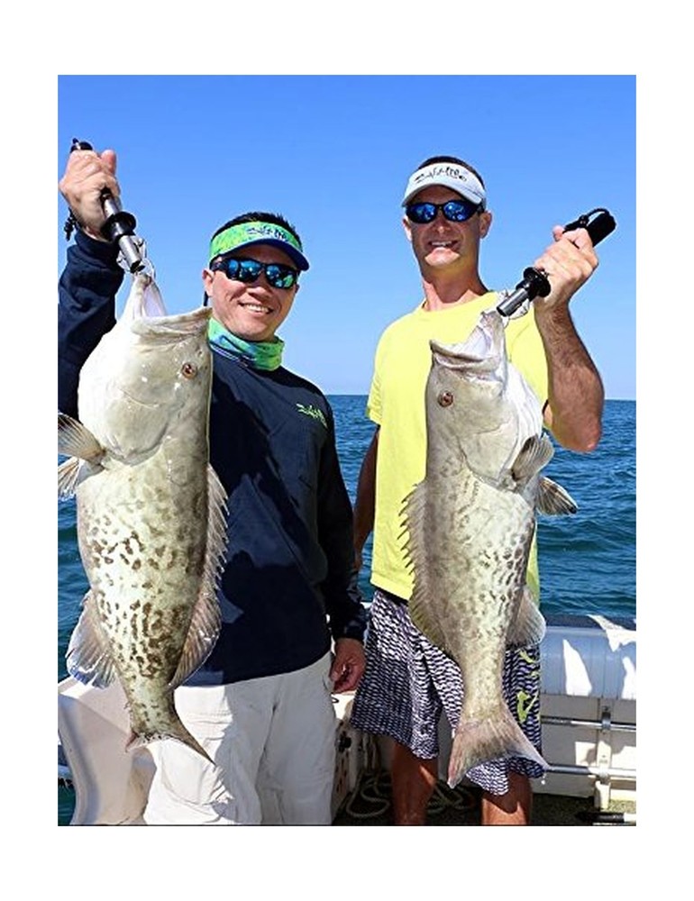 BogaGrip - 60 lb.