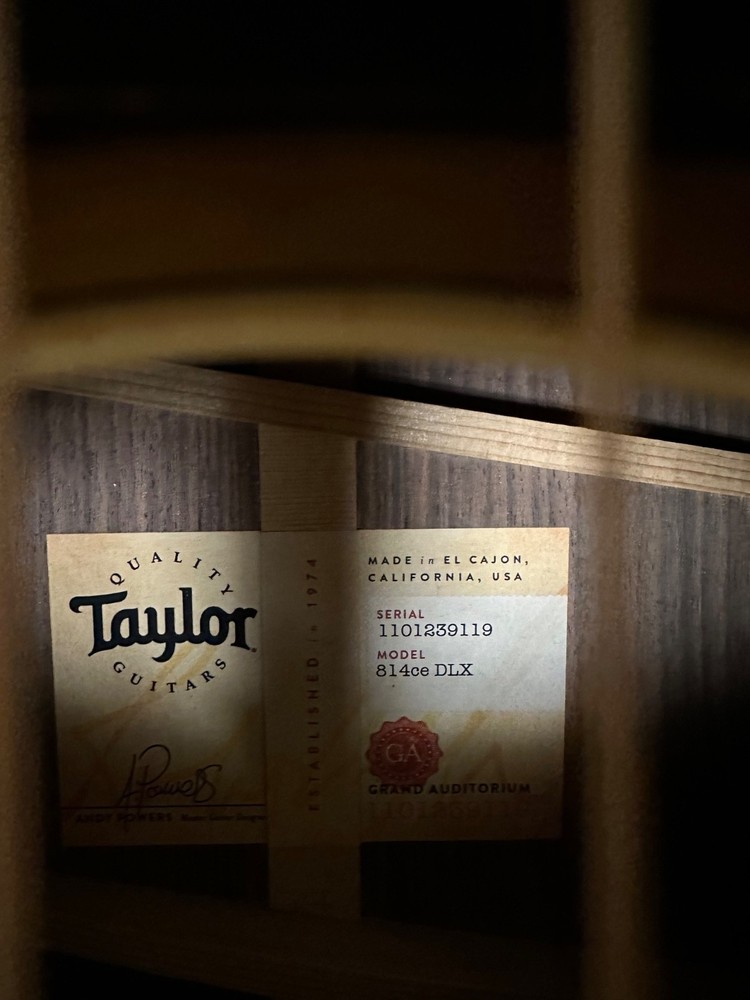Taylor 814ce dlx guitar