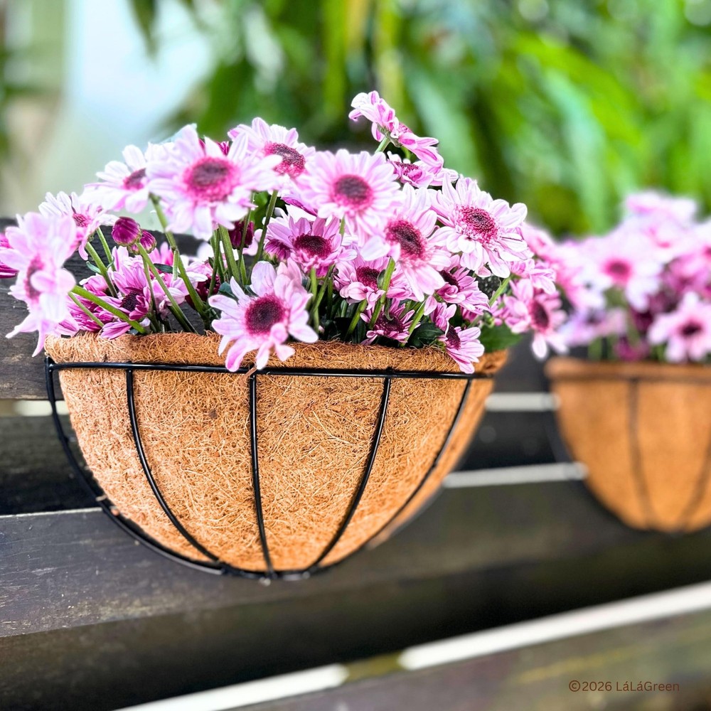 LaLaGreen 12" (10 Pack, Half Round) Coco Liners for Hanging Basket – Bulk