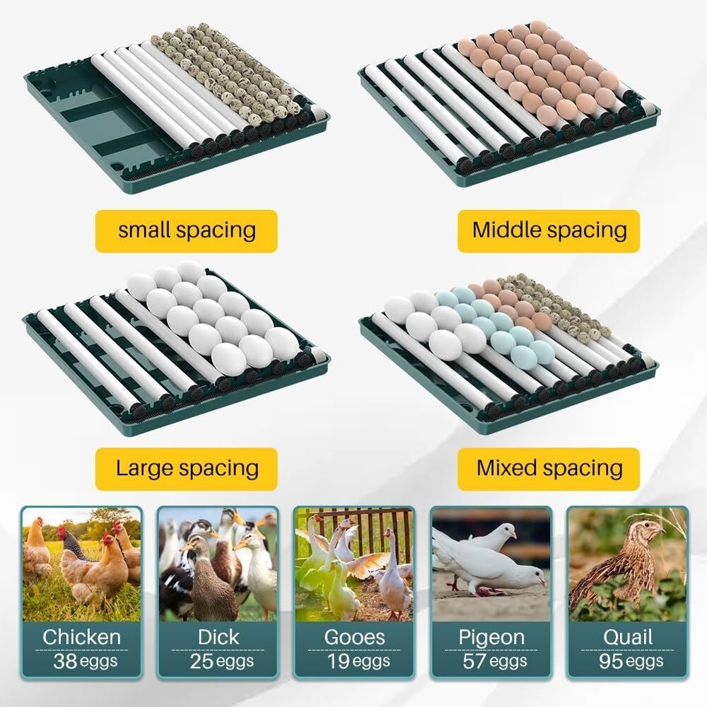 10-130 Egg Digital Poultry Hatcher Machine Automatic Egg Incubator