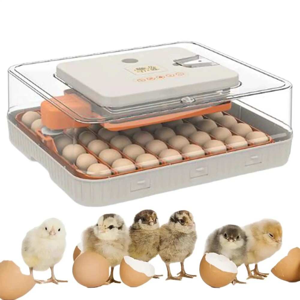 56 Egg Incubator with Automatic Egg Turning Egg Hatching Temp & Humidity Control