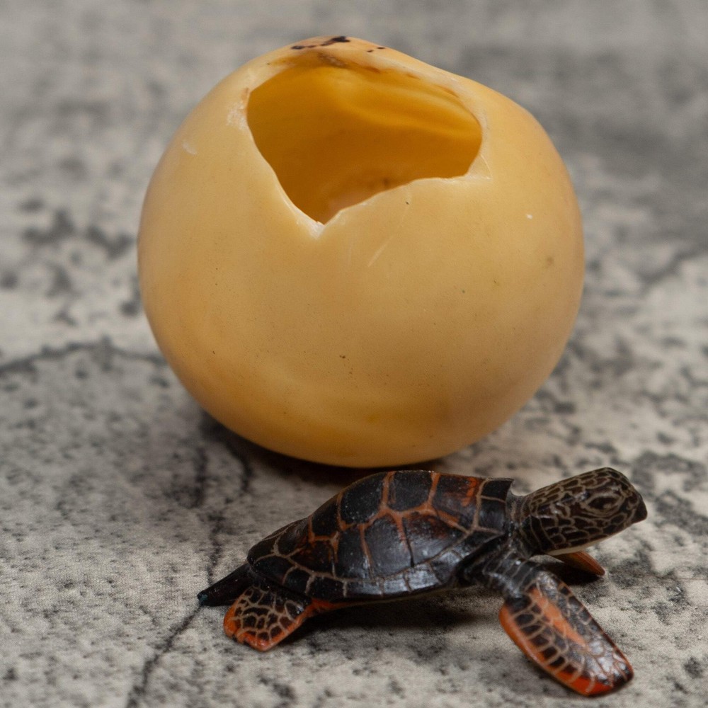 Sea Turtle Emerging From Egg Tagua Carving