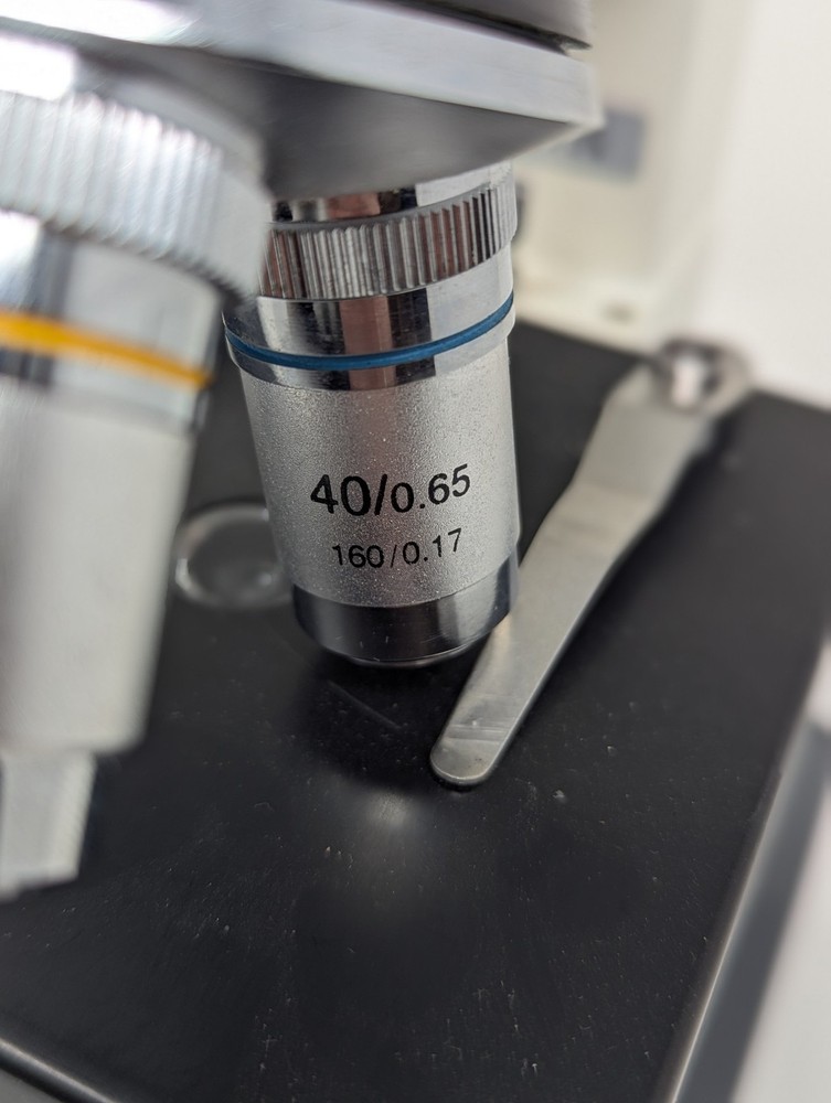 Wards Essentials Standart Compound Microscope With 2 Objectives