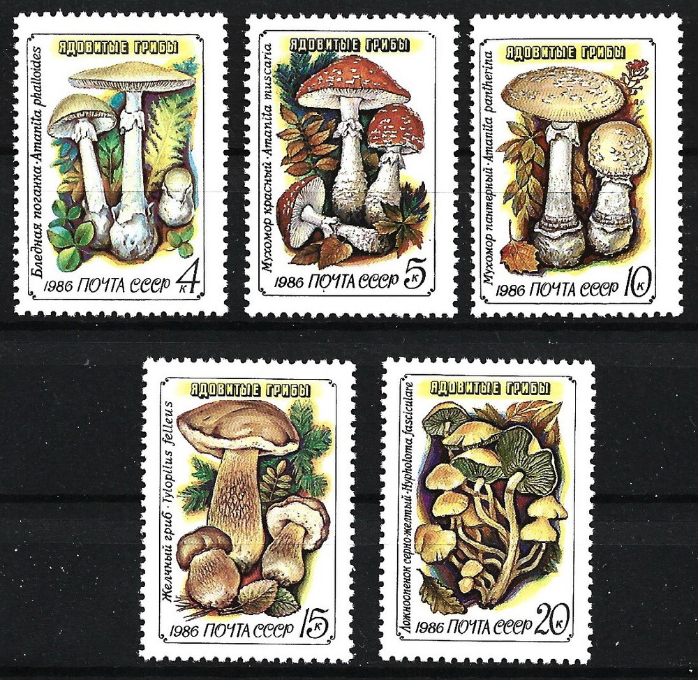 Soviet Union Poison Mushrooms Set MNH 1986 Mi. 5603-5607