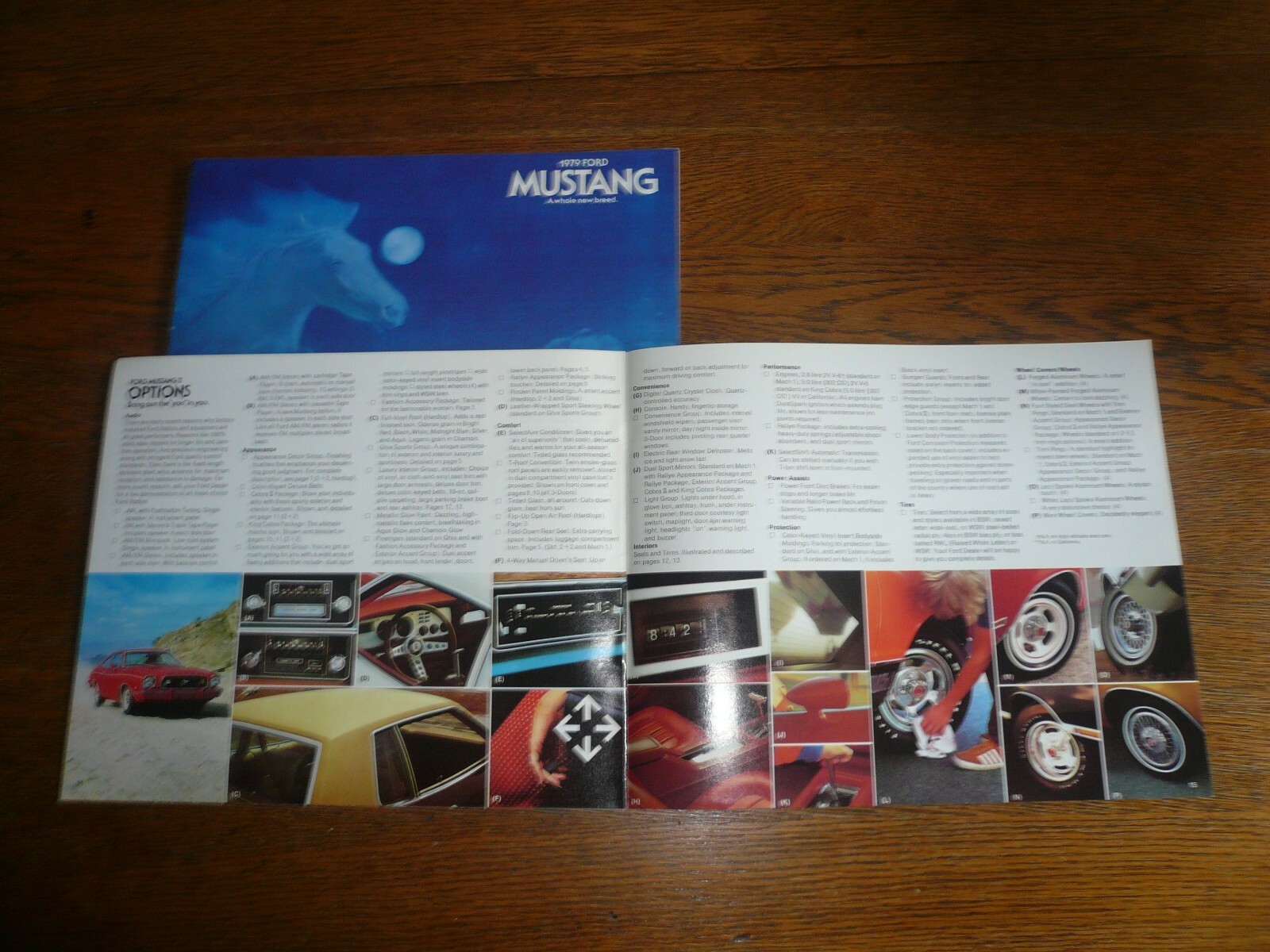 1978 and 1979 Ford Mustang Sales Brochure- Vintage- Two For One