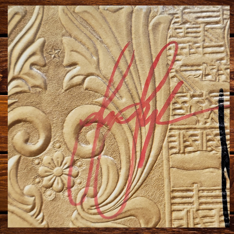 Chicago signed lp***7***6 members