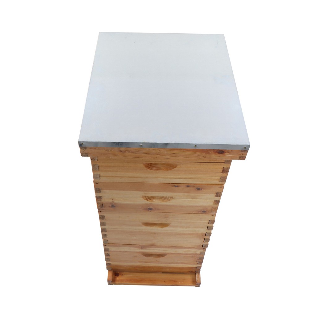 10 Frame 4 Layer Bee Hive Beeswax Coated Includes Beehive Frames and Foundations