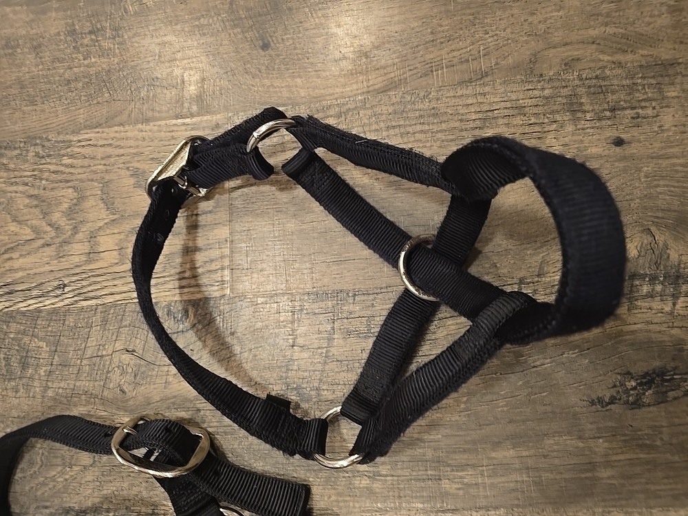 Cow Halters