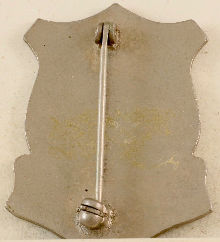 7th Medical Battalion Crest DI/DUI Pinback