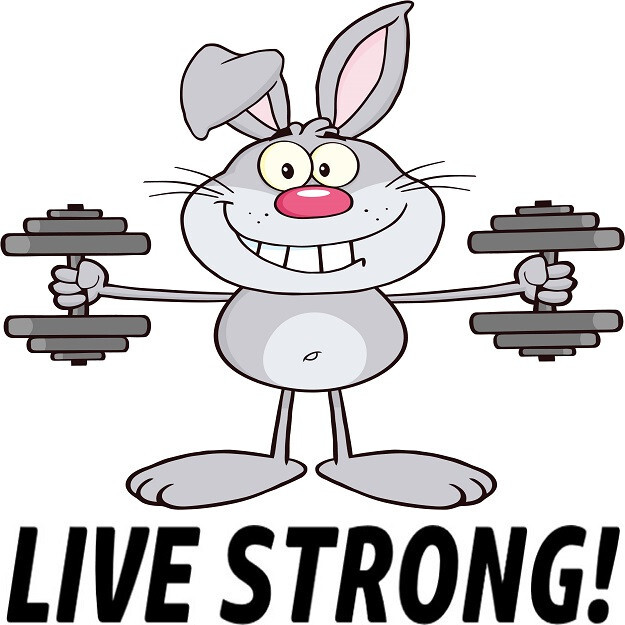 30 Custom Live Strong Grey Rabbit Personalized Address Labels