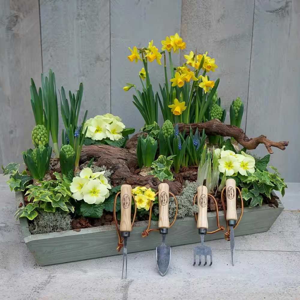 4-Piece Bonsai Tool Kit