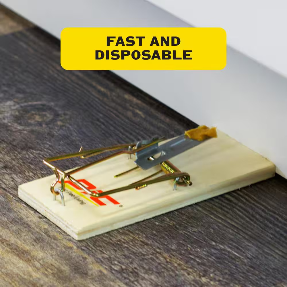Rat Wood Trap (12-Pack per Case)