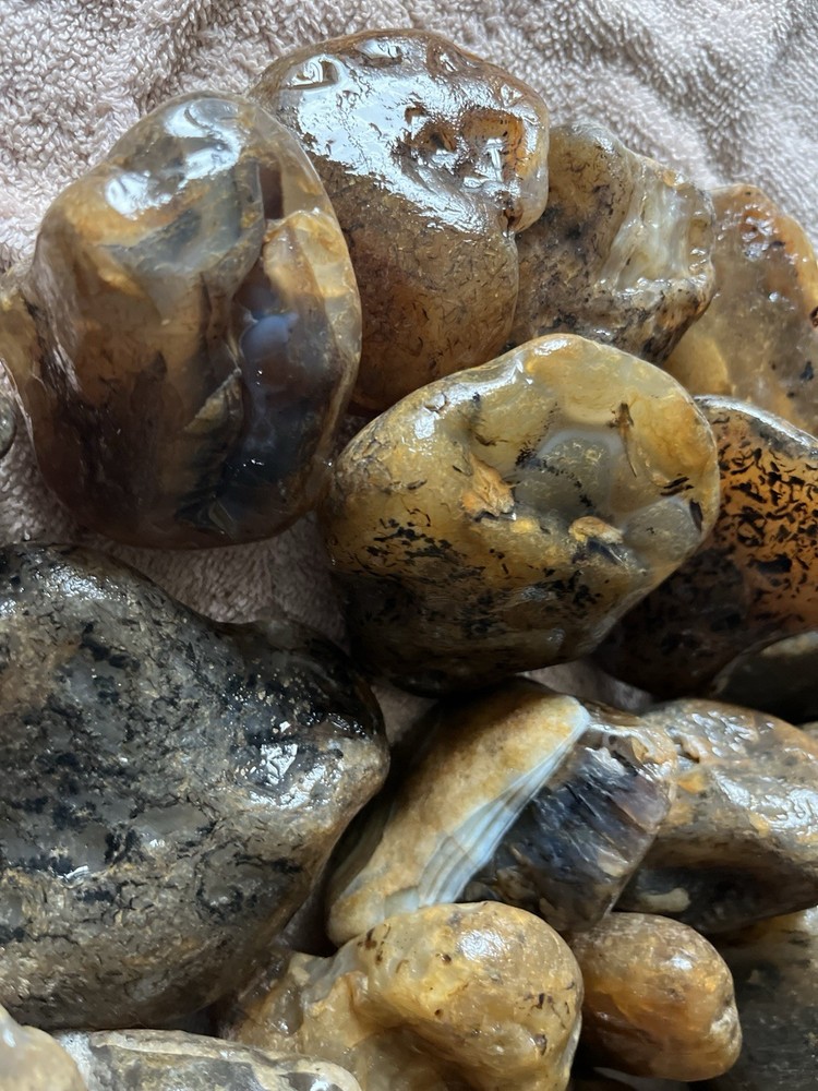 27 Lbs. Rough Montana Agate (46)