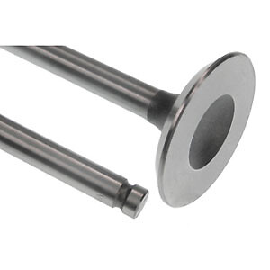 One New Aftermarket 731151M1 Intake Valve Fits Massey Ferguson Models