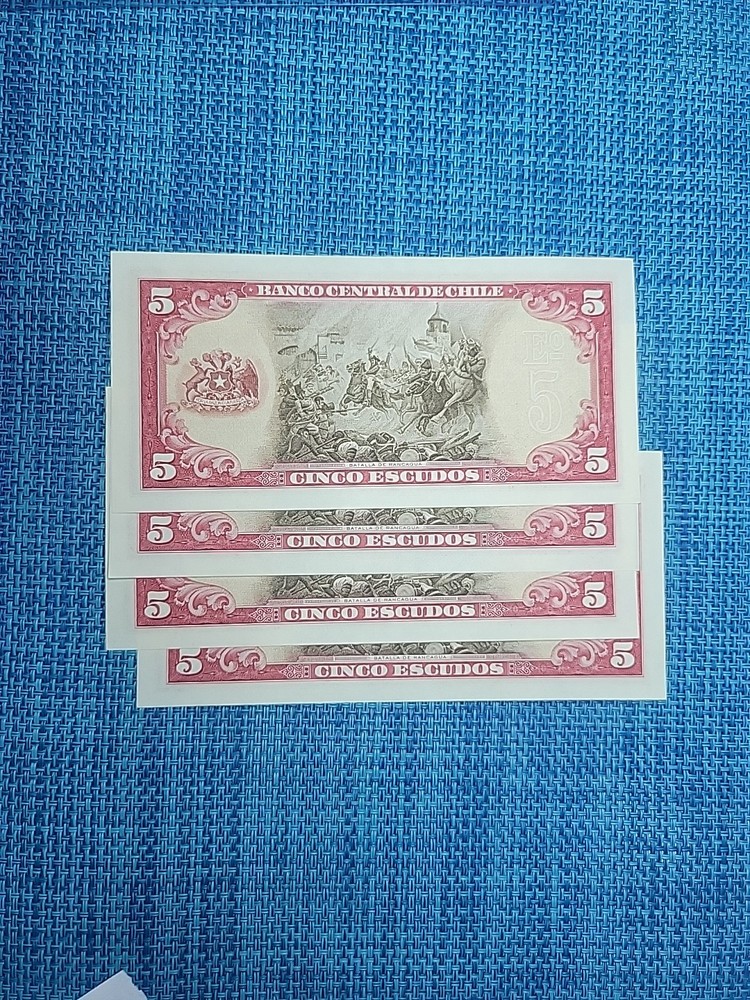 🇨🇱 listing for shereef_m-74