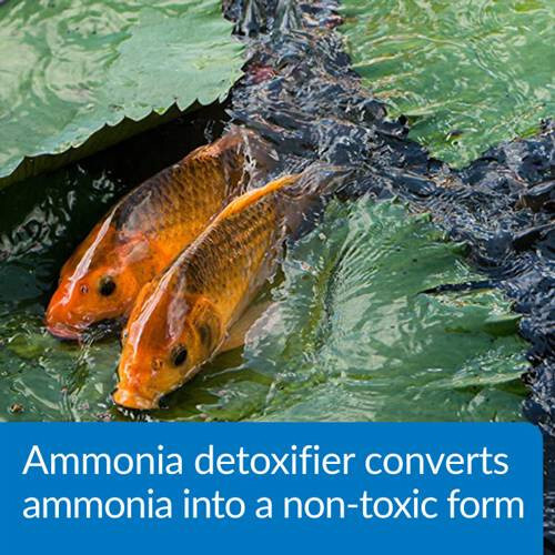 API Pond Ammo Lock 16 oz. Detoxifies Ammonia 166B