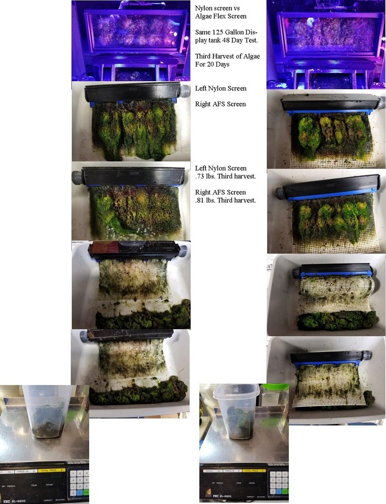 Algae Clean Scrubber Replacement WSR-S7 Algae Flex Screen.