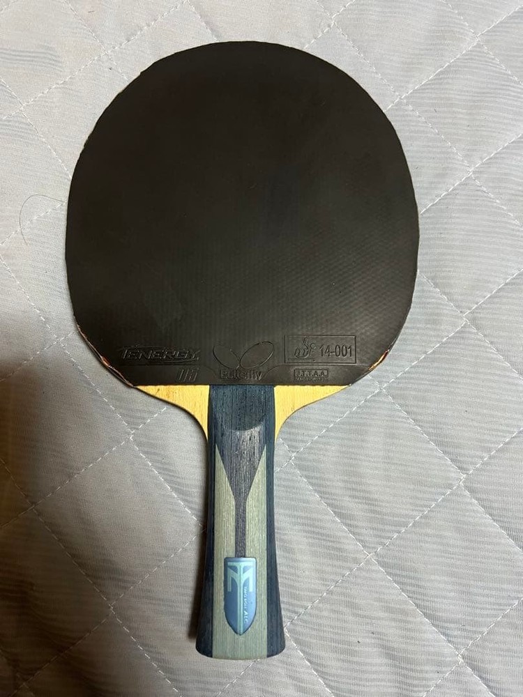 Timo Boll ALC FL