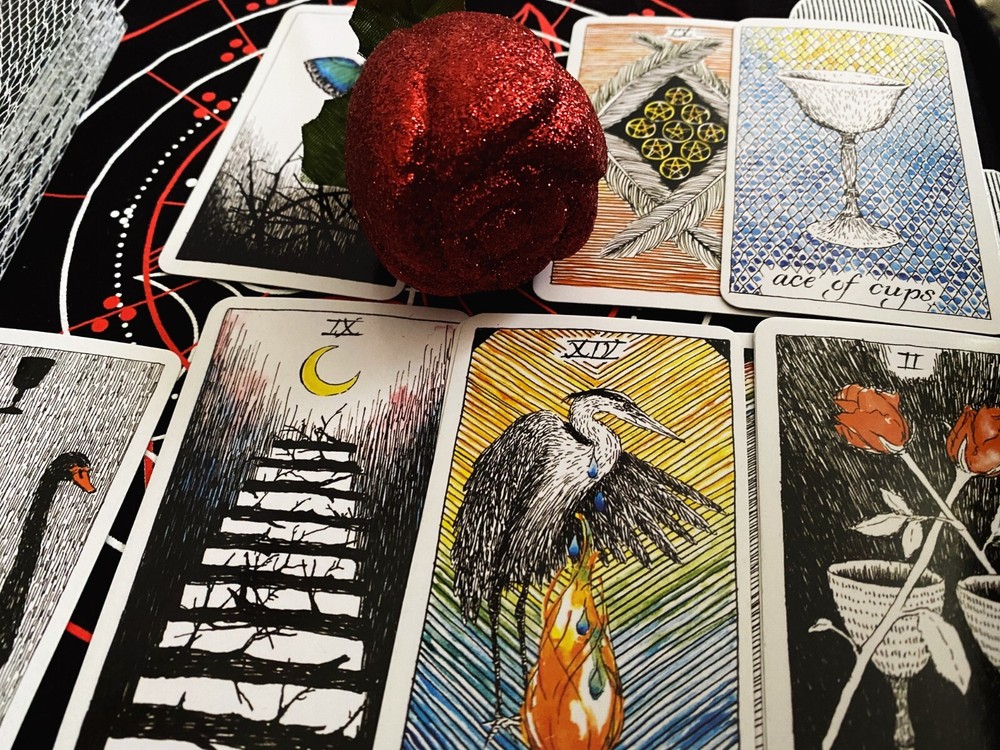 3 Card Past/Present/Future Tarot Reading Forecast Any Subject
