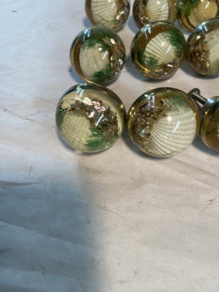 15 Vintage Fancy Round Seashell Drawer Pulls w/ Screws