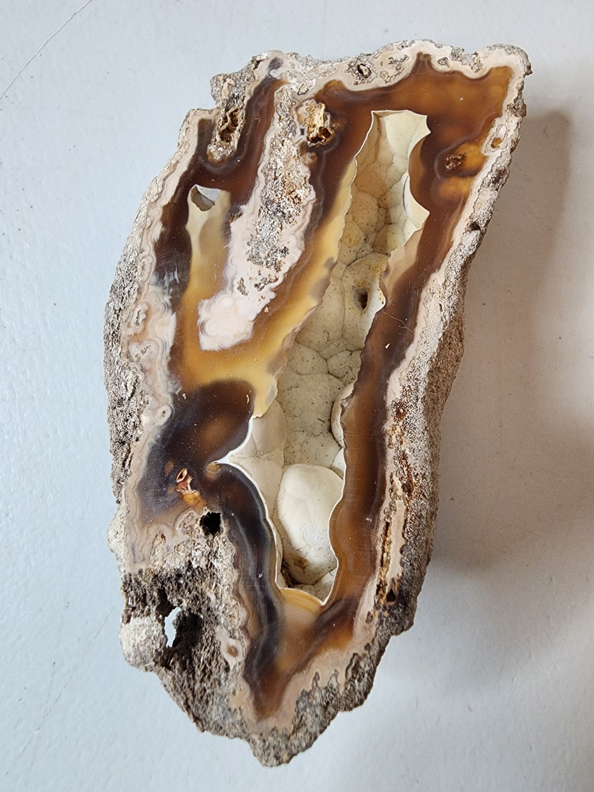 Florida Agatized Coral Fossil Chalcedony Agate Geode 4"