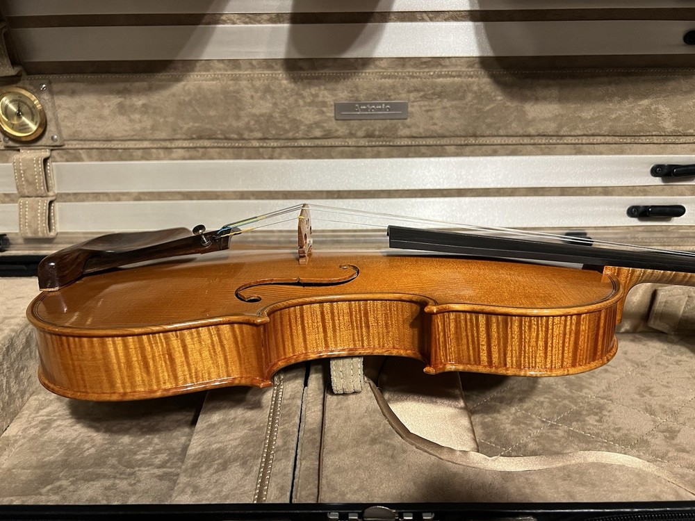 Professional 4/4 Violin E, D. Brvino SV-1 With Case