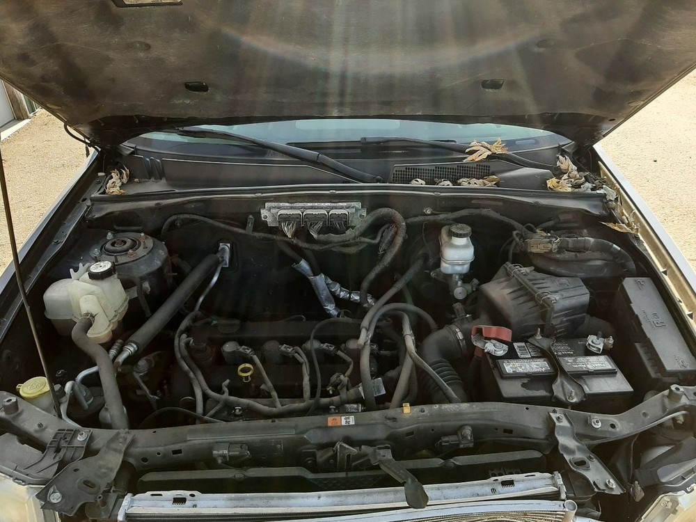 ESCAPE 2010 High Mounted Stop Light 1071535