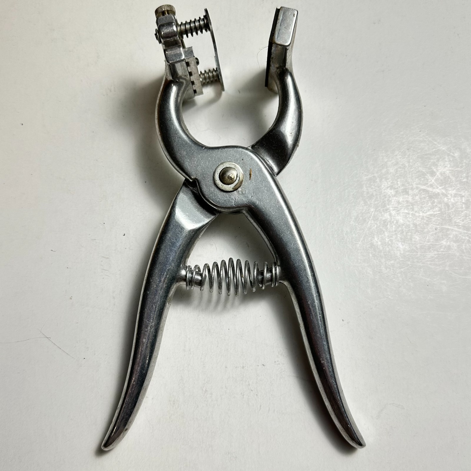 Vintage Stone Animal Tattoo Outfit Tattoo Digits