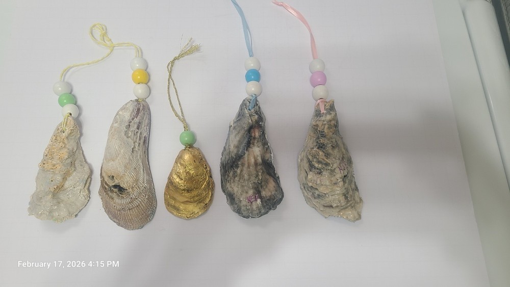 Spring Decor (5) Oyster Shells Hand Painted great for your Spring Decorating