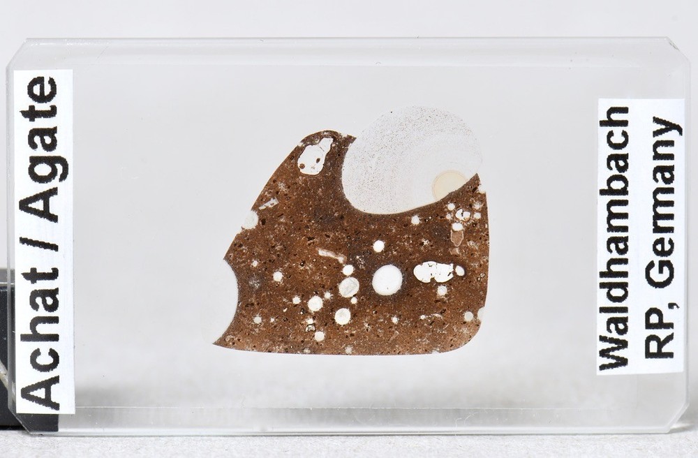 AGATE ACHAT Waldhambach Germany interesting thin section microscope slide