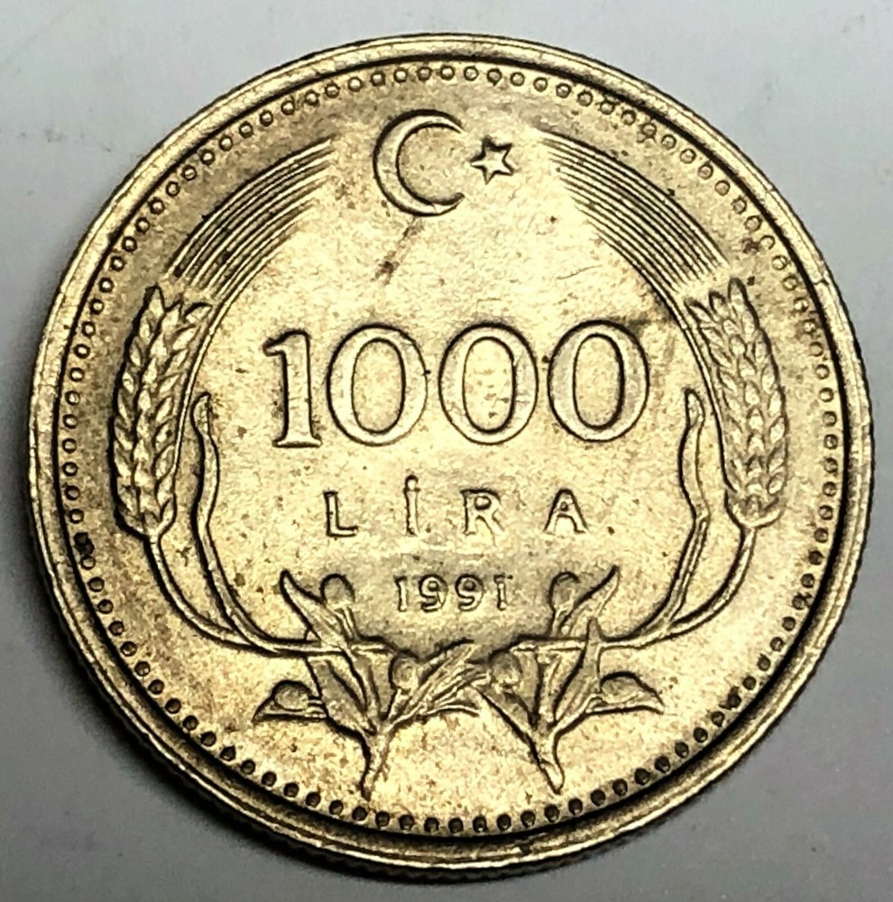 # C6538 TURKEY COIN, 1000 LIRA 1991