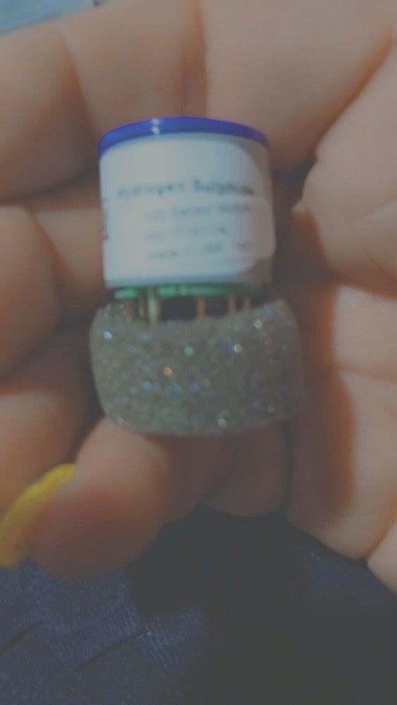 industrial Scientific H2S sensor module